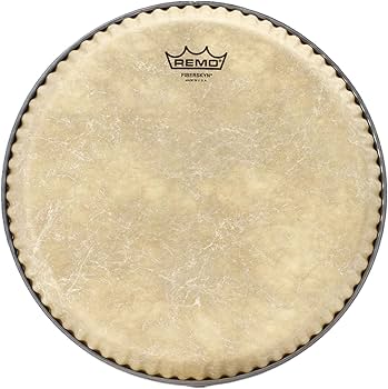 Amazon.com: Remo Conga Drumhead, Symmetry, 10.75